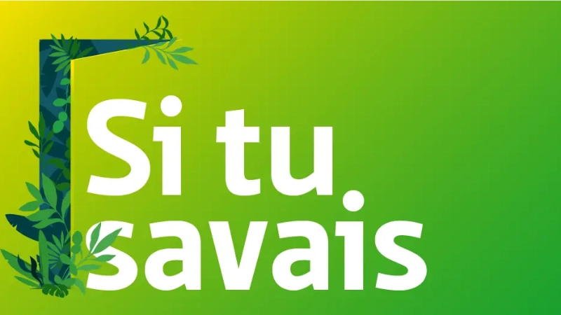 Illustration du podcast Si tu savais