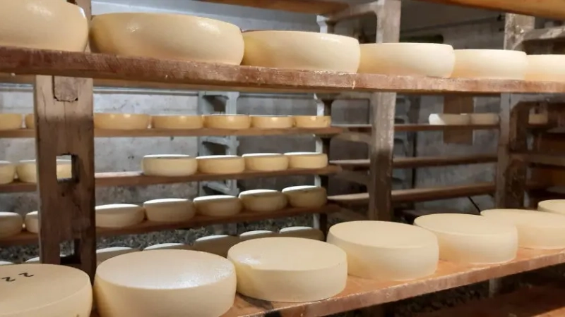 fromagerie