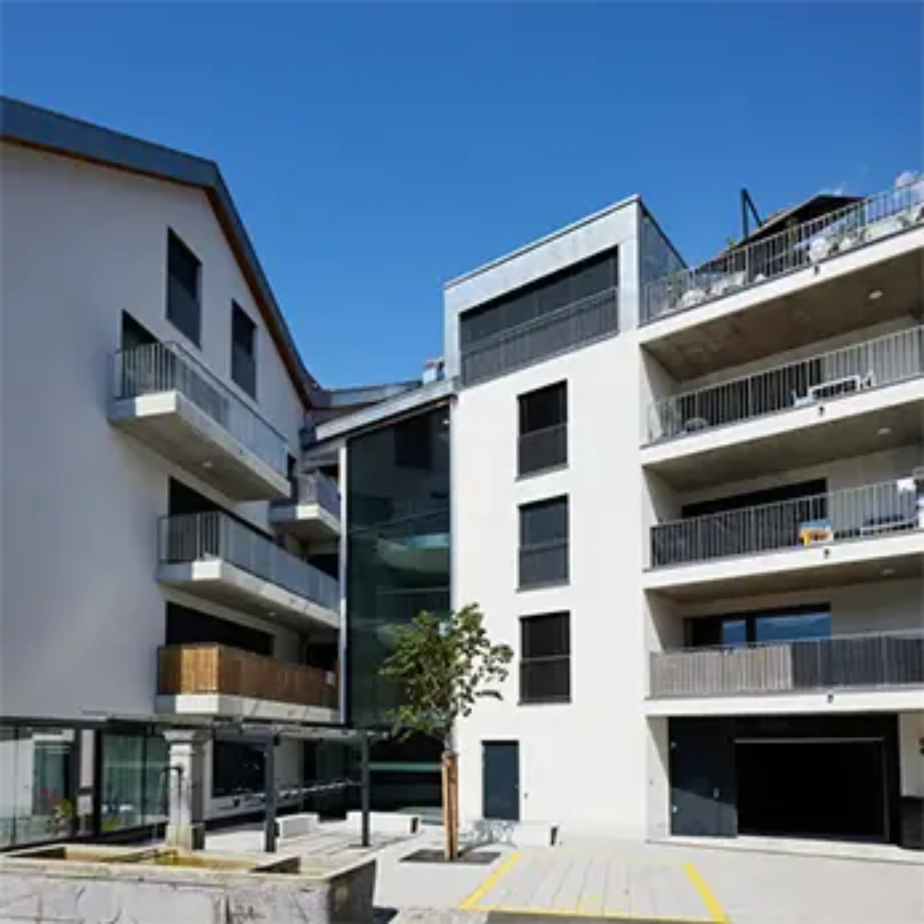 Aigle, croix blanche