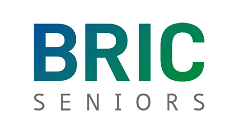 bric-vignette